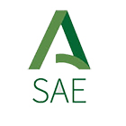 Logo SAE